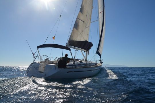 Small Group Excursion Whales and Dolphin Watching Los Gigantes