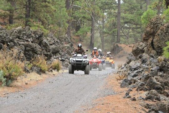 Pure Off Road Quad Trip in South Tenerife