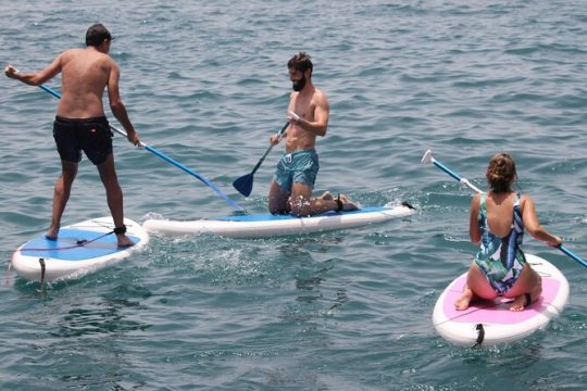 Paddle Surf