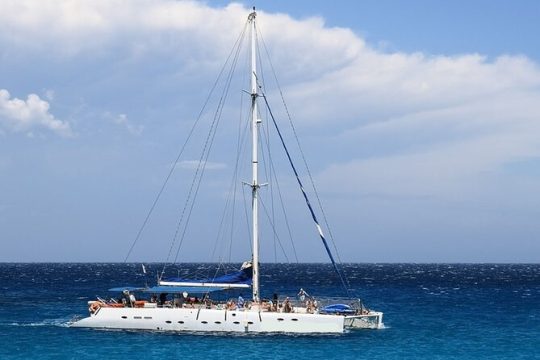 Whale & Dolphin Watching in Tenerife (Puerto Colon) On a Large Catamaran