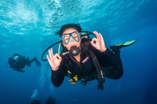 PADI Open Water course in Playa de las Americas