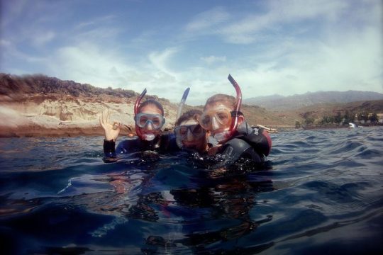 Snorkelling safari in a turtle area