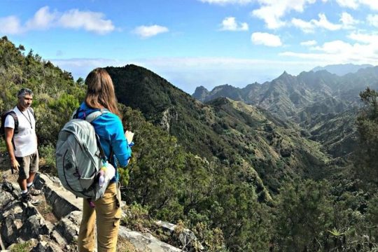 Small Group Guided Hiking in Anaga Rural Park in Tenerife