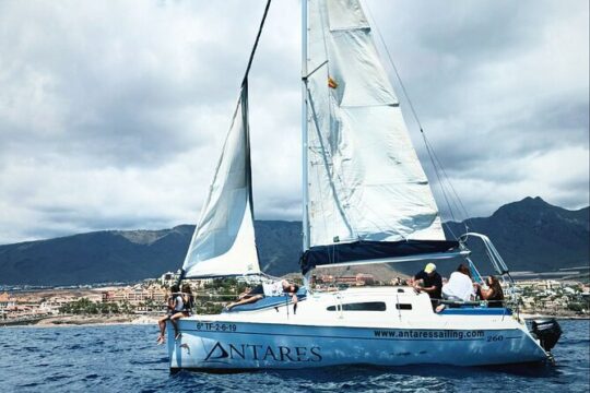 Sailing Experience from Costa Adeje