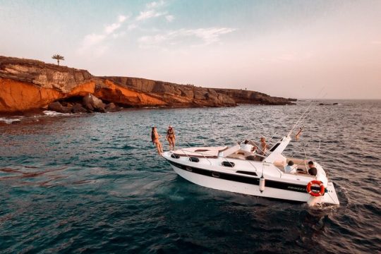 Tenerife Motor Boat Whale Watching & Snorkeling Experience