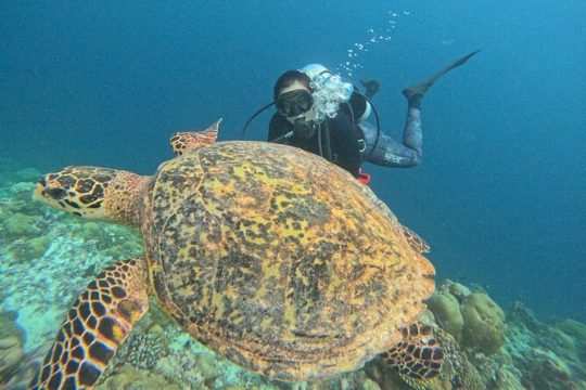 First Scuba Diving Experience in Tenerife with Instructor