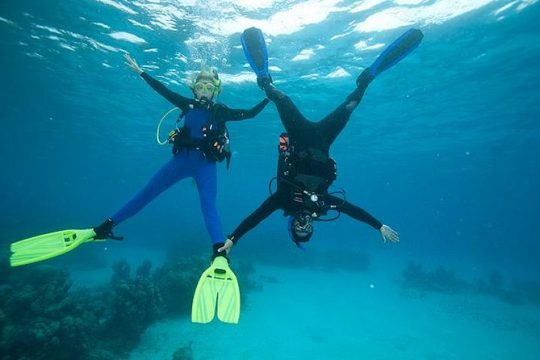 SSI Peak Performance Buoyancy Specialty Scuba Dive in Tenerife