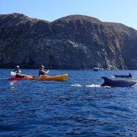 Kayaking & Canoeing