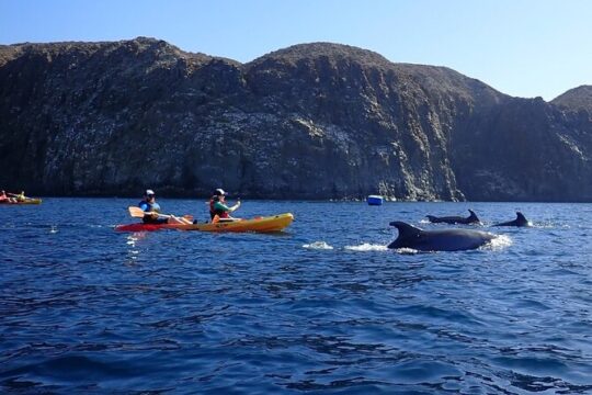 3 Hour Kayak and Snorkeling Experience in Tenerife