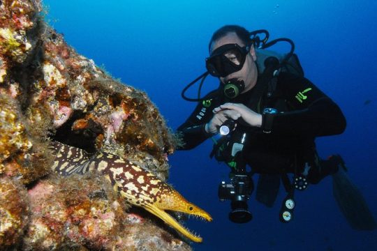 Scuba Diving Multi Dives in Playa de la Americas