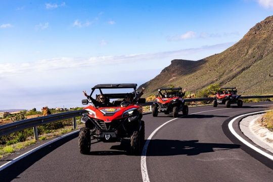 Guided Buggy Tour through Teide National Park