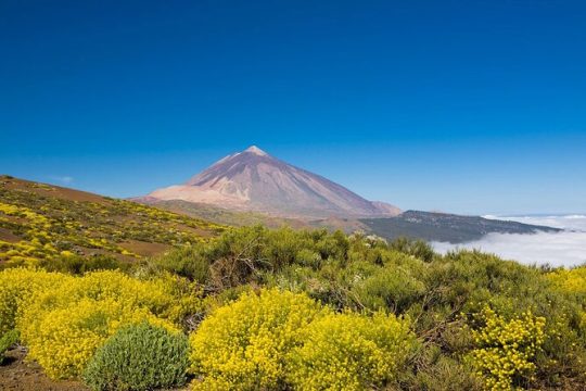 Walking on the moon around the volcano Teide in Tenerife