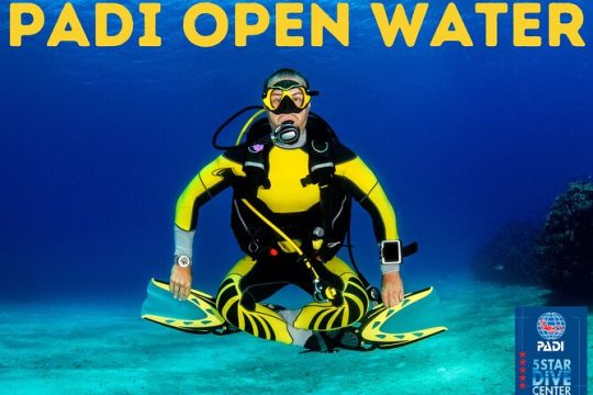 PADI Open Water Course in Costa Adeje