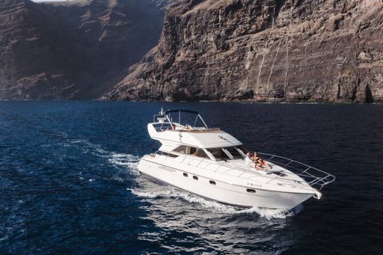 Private Boat Tour on Royal Ocean Yacht, Tenerife