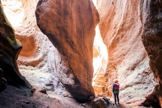 Small-Group Half-Day Canyoning in La Orotava