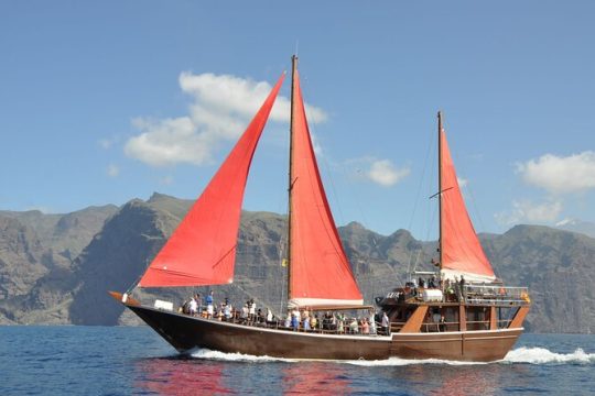 5-hour Masca-Los Gigantes Whale Watching Tour