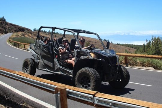 Half Day Family Buggy Teide Nacional Park Morning or Sunset