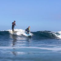 Surfing Lessons