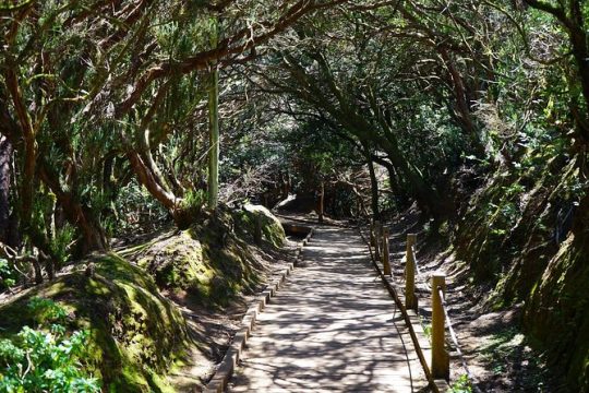 Anaga's Biosphere Reserve VIP TOUR