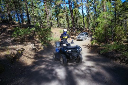 Forest & Off Road National Park Quad Biking Tour