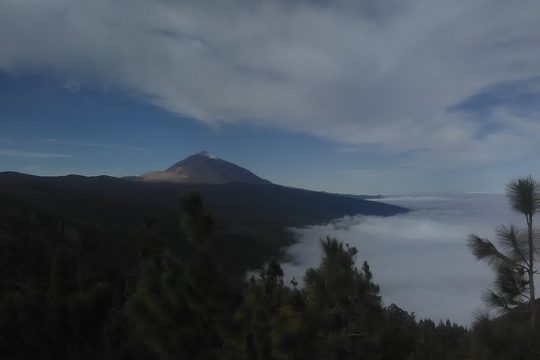 Volcano Teide National Park And North Of The Island VIP TOUR