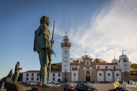 Round The Island Trip Without Teide VIP TOUR