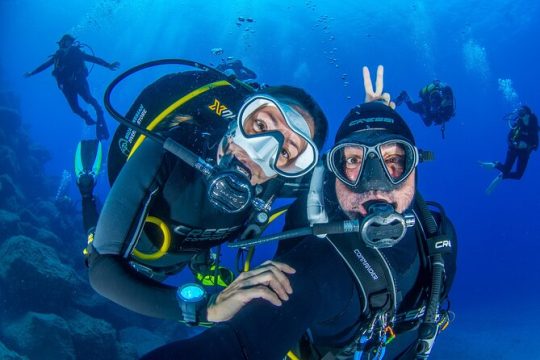 Guided Immersion from Santa Cruz de Tenerife