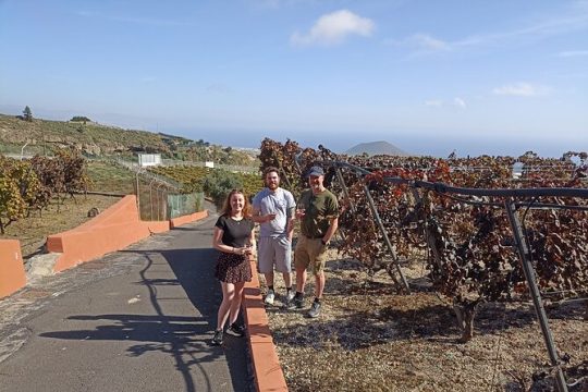 Tenerife Wine Tasting Private Tour