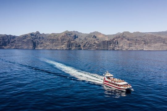 Royal Delfin - 4'5H Dolphin & Whale Watching - Los Gigantes Masca - Lunch & Swim