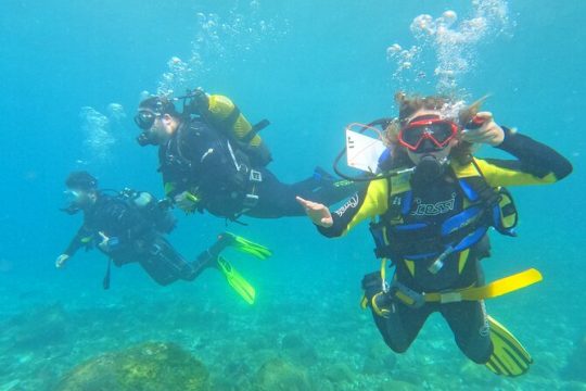 Diving in Los Cristianos, Tenerife