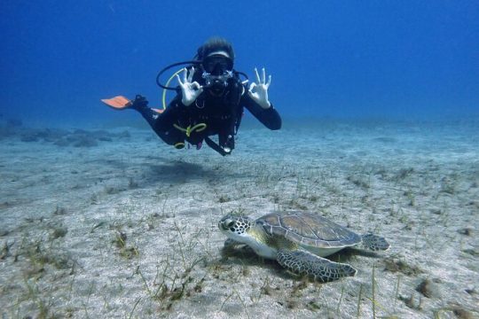 PADI discover scuba diving