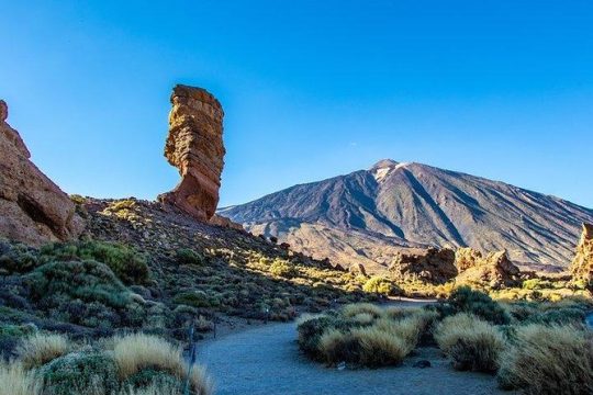 Teide-Icod-Garachico-Masca (Most popular bus tour in Tenerife)