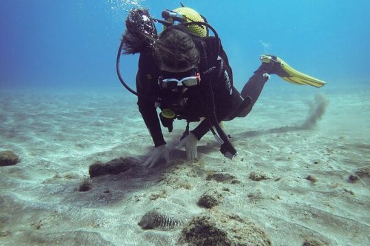 SSI basic diver In Tenerife - 2 Dives