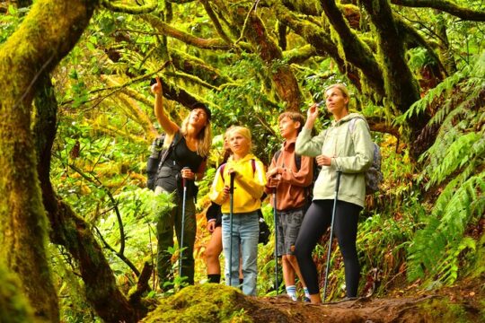 Tenerife: Hiking in Anaga Mountains and Enchanted Laurel Forest