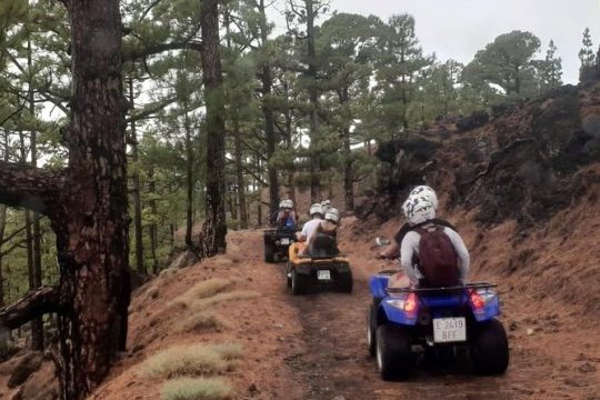 Quad adventure Forestal