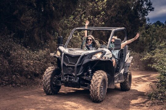 Tenerife Guided Buggy Discovery Tour Around Mount Teide