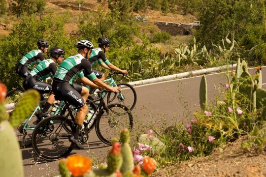 Road Cycling Tenerife - Vilaflor Route