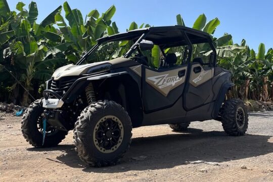 Monster Buggy Teide Tour 4Seaters