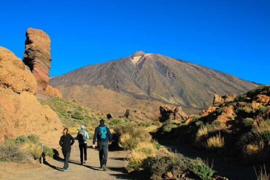 Half-day excursion to Teide National Park