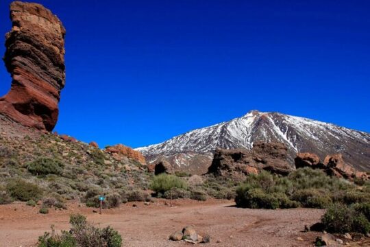 Teide National Park Full Experience with Professional Guide