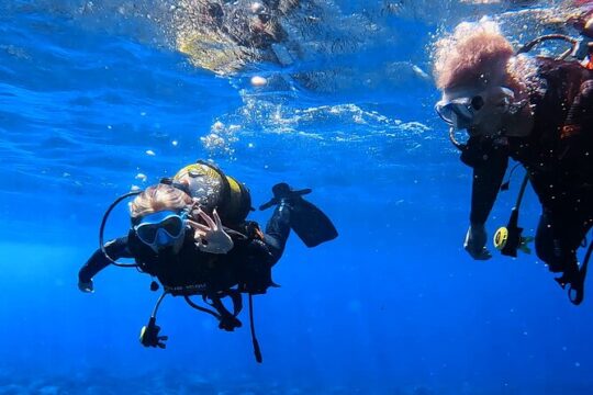 Scuba Experience in Tenerife with Guide