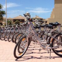 Bike Rentals