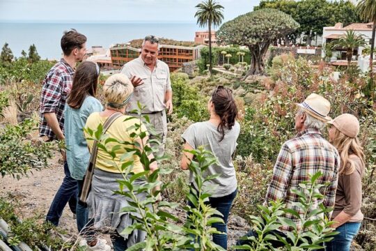 VIP Grand Tour Isla de Tenerife from South Tenerife