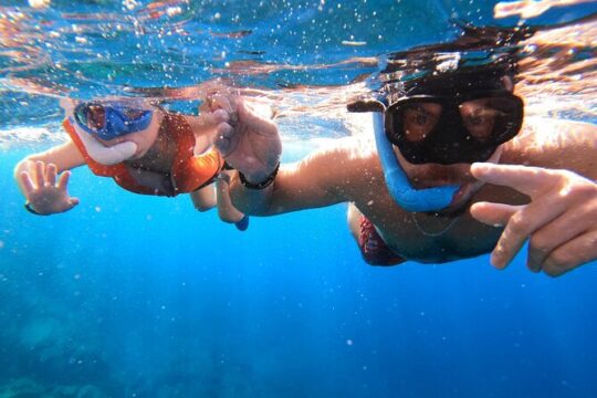 Snorkeling from Boat in Puerto Colón