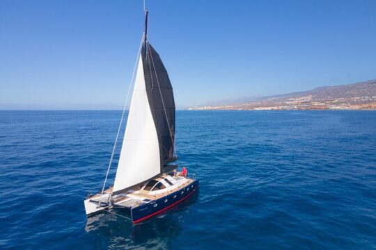 3 hrs. Whale Watching and Relaxing Chill Out Catamaran with glass floor