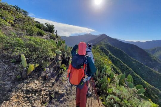 Guided hiking excursion to Masca, in Tenerife