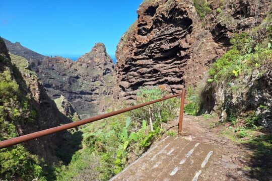 Hiking in the Cuevas Negras Canyon in Tenerife